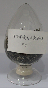 茶葉