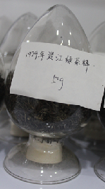 茶葉