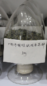 茶葉
