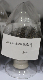 茶葉