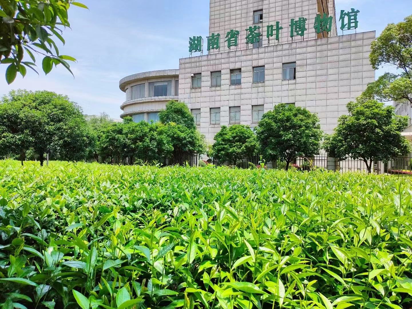 新聞動態(tài)