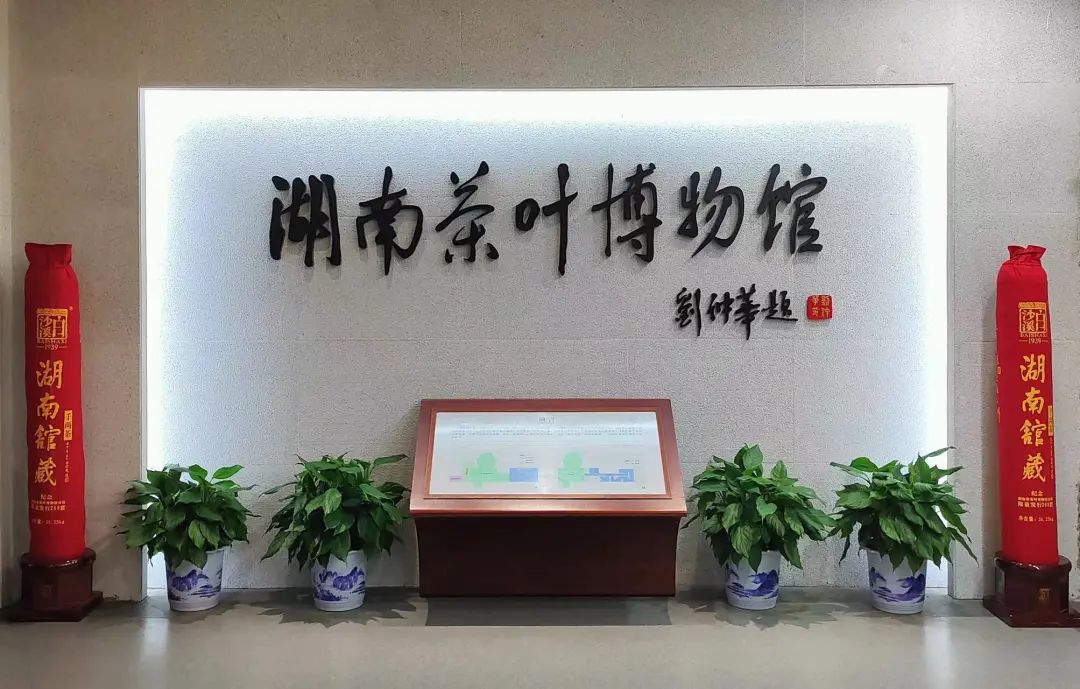新聞動態