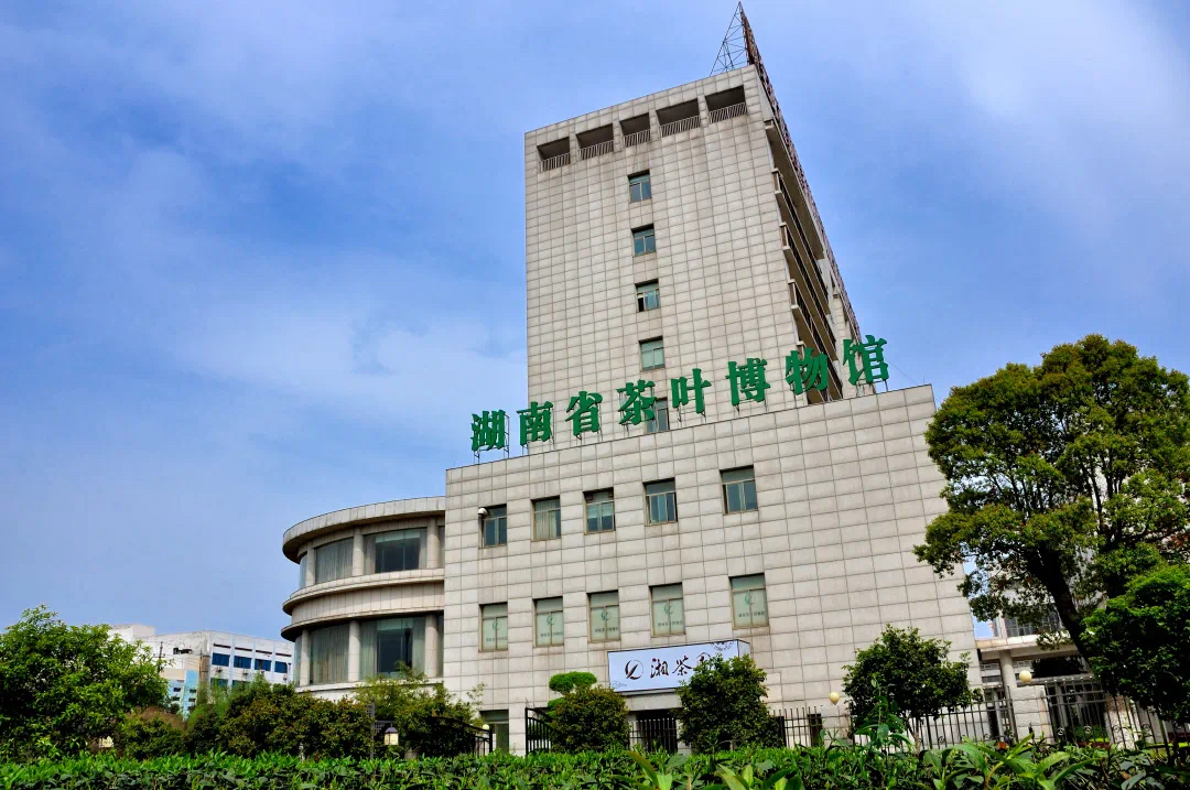 新聞動態(tài)