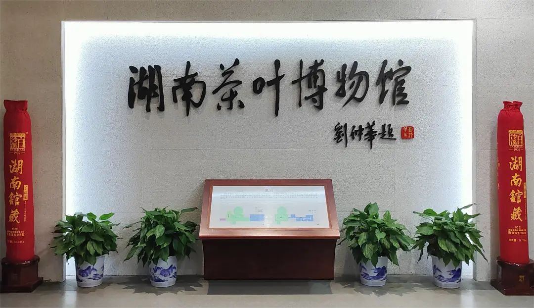 新聞動態(tài)