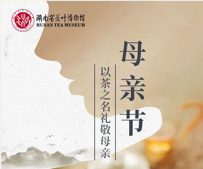 新聞動態(tài)