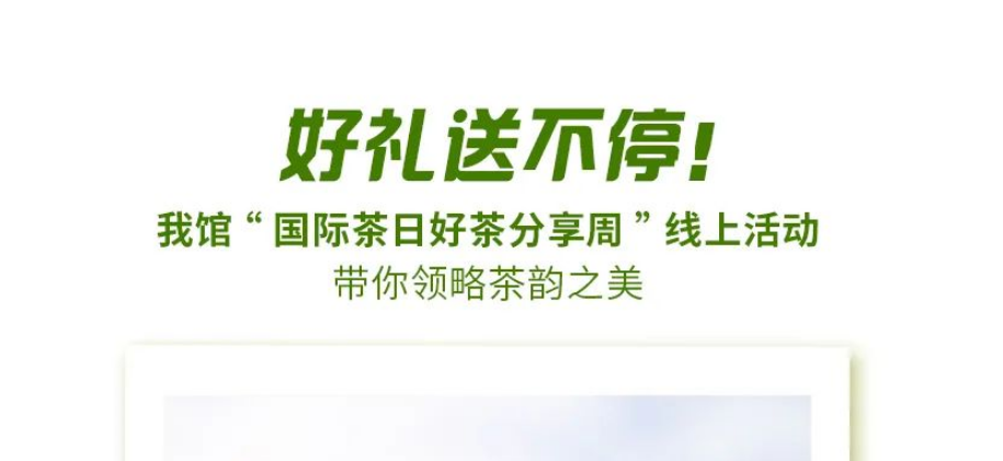 新聞動態(tài)