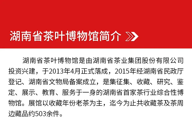 新聞動態(tài)