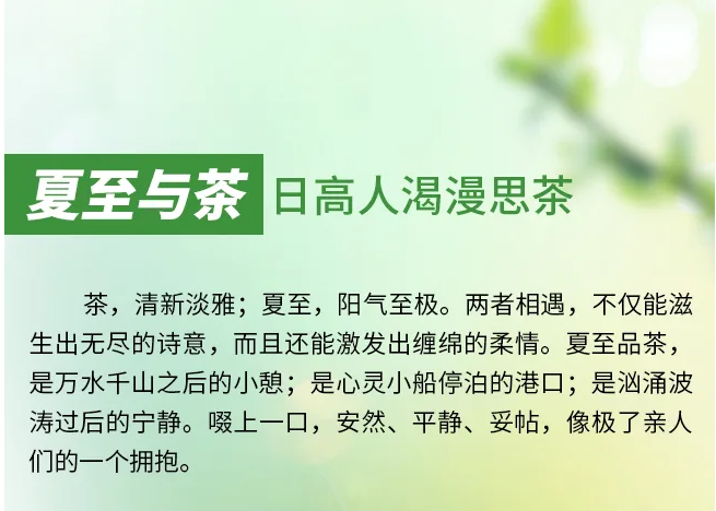 新聞動態(tài)