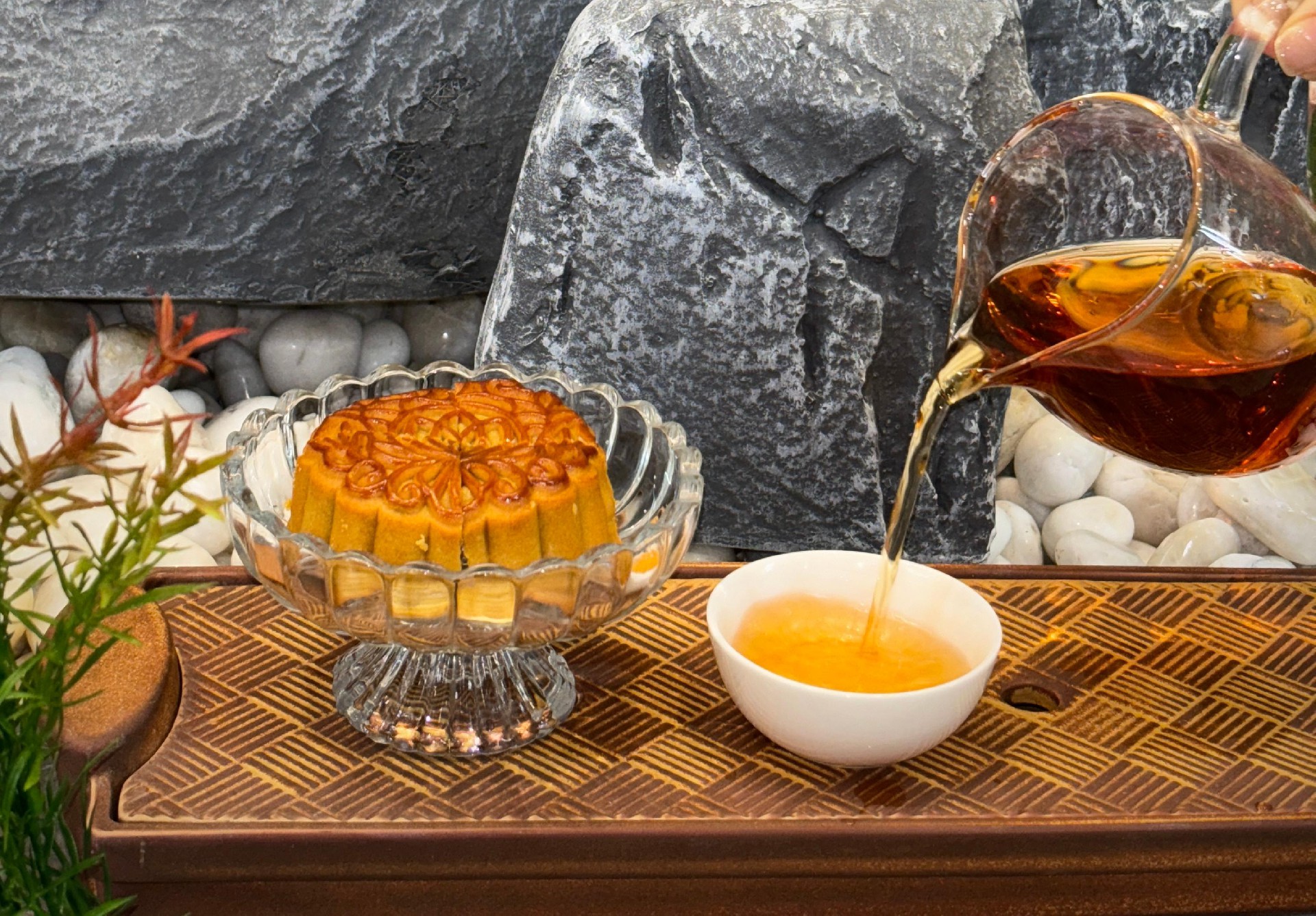 新聞動(dòng)態(tài)