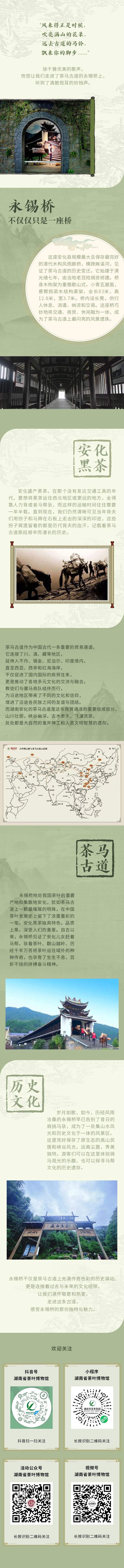 湘茶故事丨茶馬古道上的永錫橋.jpg