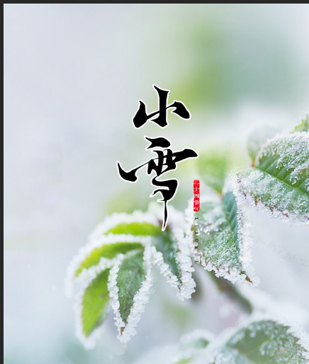新聞動態