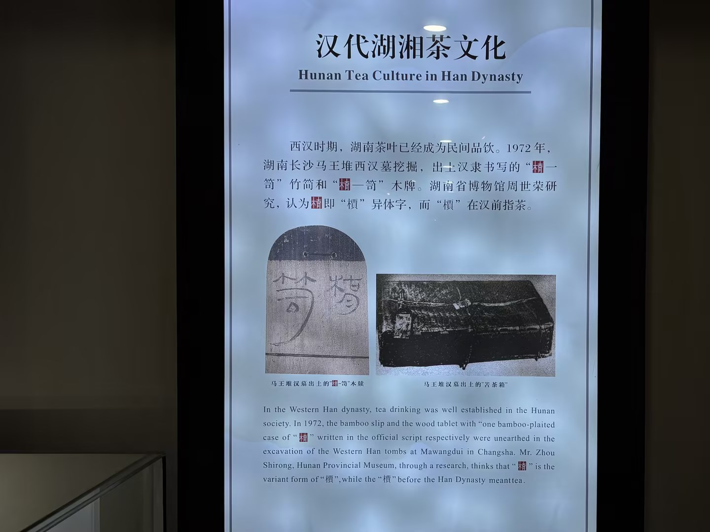 新聞動態