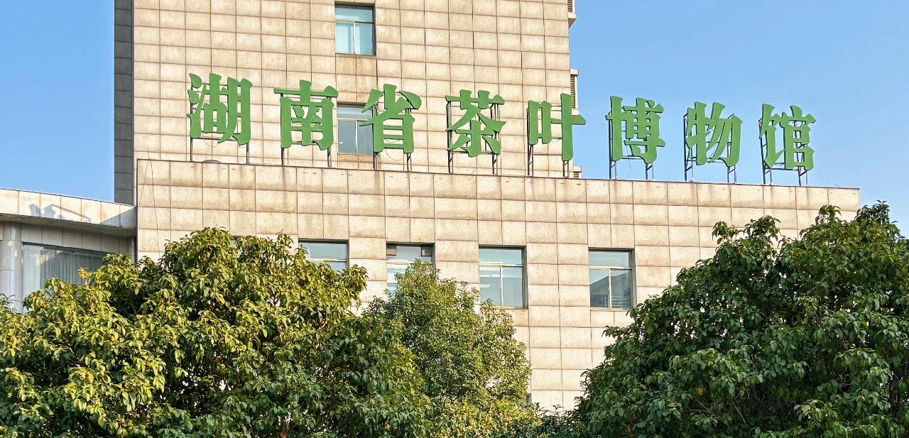 新聞動態