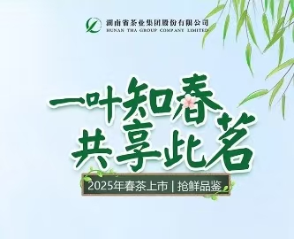 新聞動態